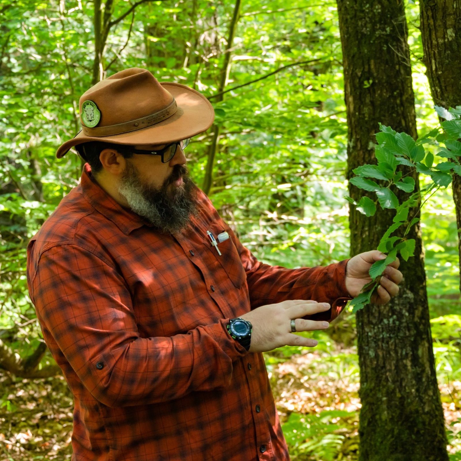 A Propos – Site De La Skol Louarn - école Buissonnière Du Bushcraft Et ...